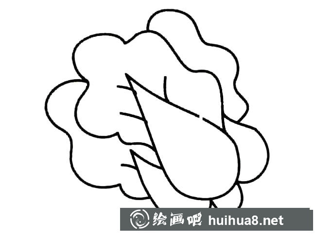 大白菜蔬菜簡(jiǎn)筆畫(huà)步驟圖片大全二
