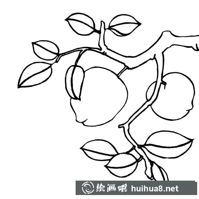 桃樹(shù)植物簡(jiǎn)筆畫步驟圖片大全