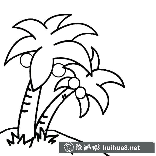 兩顆椰子樹植物簡筆畫步驟圖片大全
