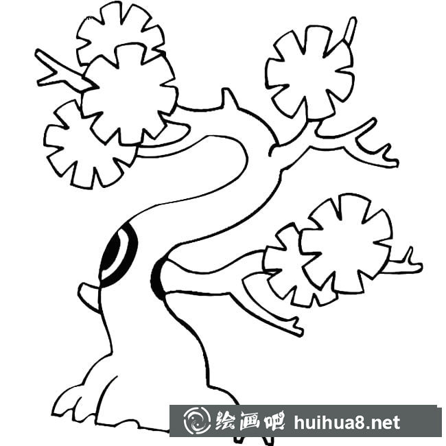 景觀樹(shù)植物簡(jiǎn)筆畫步驟圖片大全二