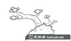 松樹植物筆畫步驟圖片大全