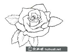 玫瑰花植物花簡(jiǎn)筆畫(huà)步驟圖集