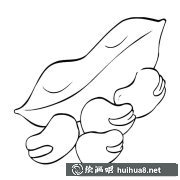 蠶豆蔬菜簡筆畫教程圖解大全