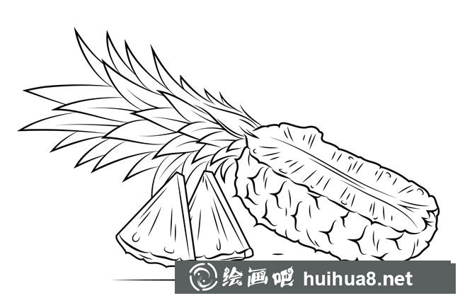 簡單的菠蘿簡筆畫