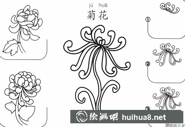 怎樣畫菊花簡筆畫兒童畫法