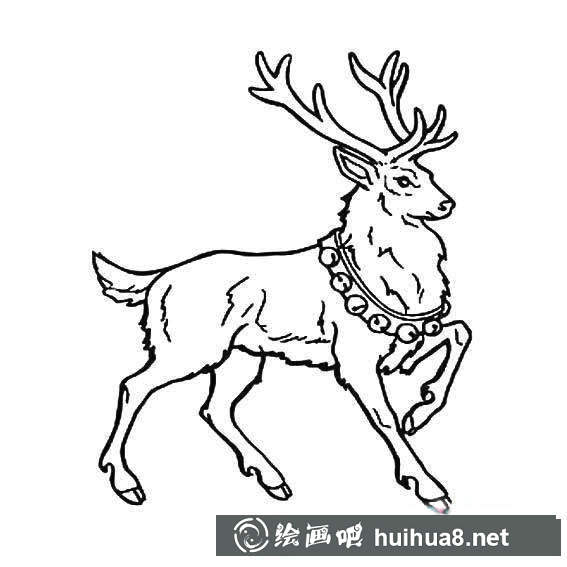 圣誕馴鹿簡筆畫