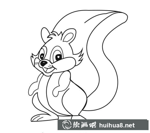 大尾巴的小松鼠簡筆畫圖片