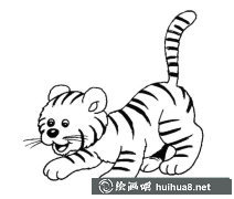 虎崽簡(jiǎn)筆畫(huà)可愛(ài)圖片分享