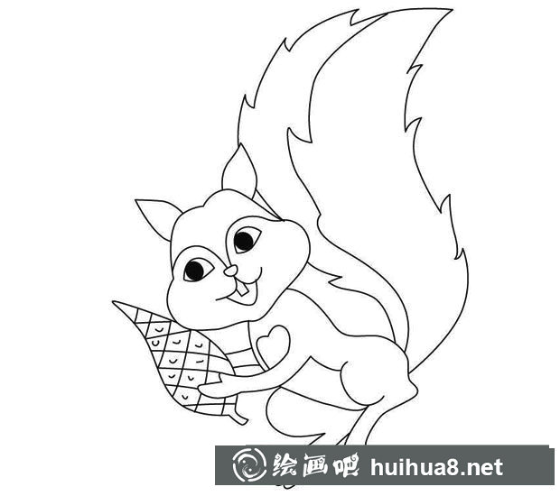 吃松果的小松鼠簡筆畫圖片