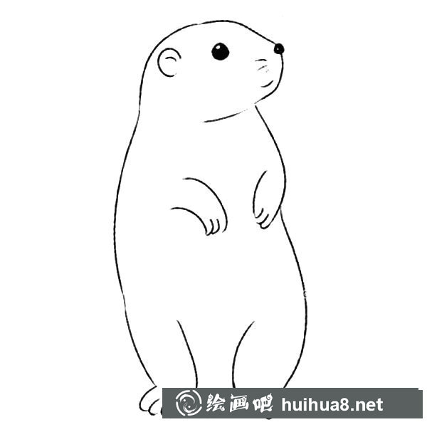 地鼠