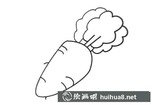 新鮮的胡蘿卜簡(jiǎn)筆畫