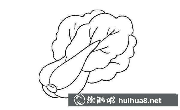 簡(jiǎn)筆畫大白菜怎么畫