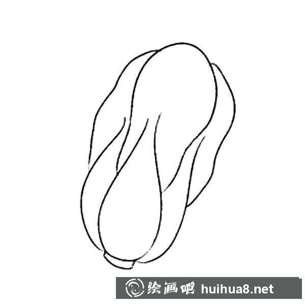 大白菜簡(jiǎn)筆畫