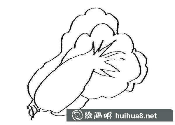 簡(jiǎn)筆畫白菜的畫法