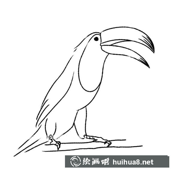 長(zhǎng)嘴鳥(niǎo)簡(jiǎn)筆畫(huà)圖片