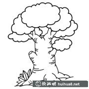 茂盛榕樹簡(jiǎn)筆畫教程