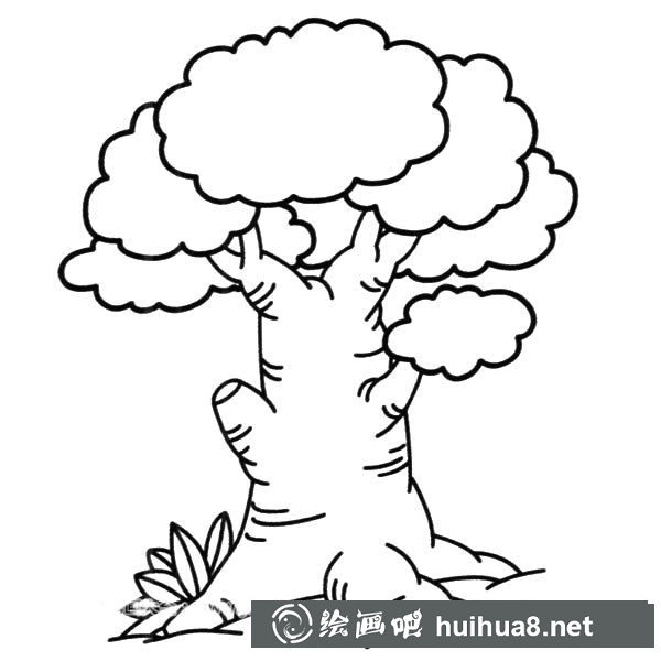 茂盛的大榕樹簡筆畫