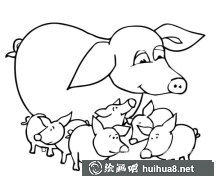 豬媽媽與小豬們溫馨簡(jiǎn)筆畫(huà)