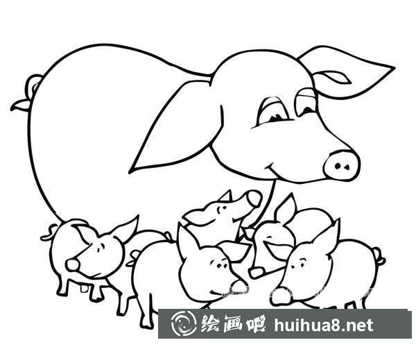 豬媽媽和一群小豬簡筆畫圖片
