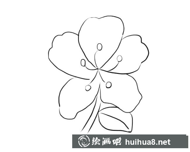 漂亮的杜鵑花圖片