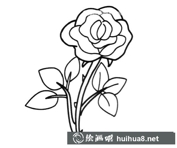 帶刺的玫瑰花簡(jiǎn)筆畫(huà)圖片