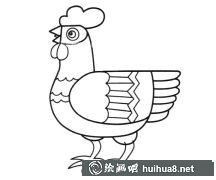花公雞簡筆畫教程
