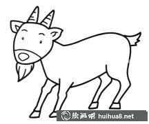 成年山羊簡(jiǎn)筆畫教程