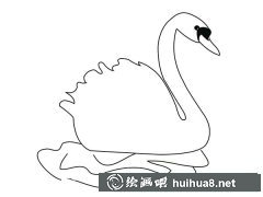 天鵝簡(jiǎn)筆畫美麗瞬間