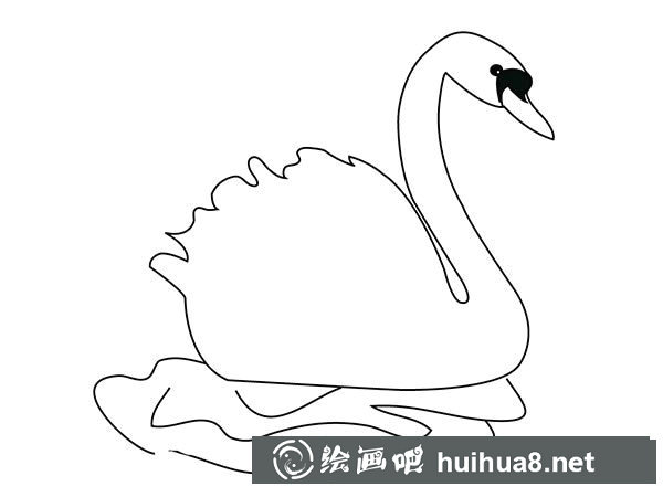 漂亮的天鵝簡(jiǎn)筆畫(huà)圖片