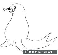 兒童海豹簡(jiǎn)筆畫教程