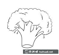 蔬菜西蘭花卡通畫圖