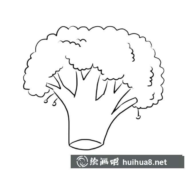 蔬菜西蘭花簡(jiǎn)筆畫(huà)圖片