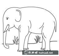 草地大象簡筆畫教程