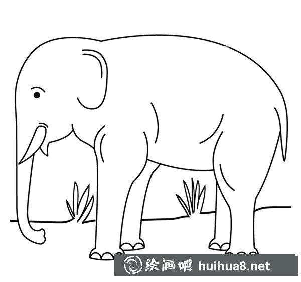 草地上的大象簡筆畫_大象簡筆畫