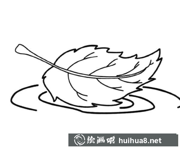掉在水里的樹葉簡筆畫圖片