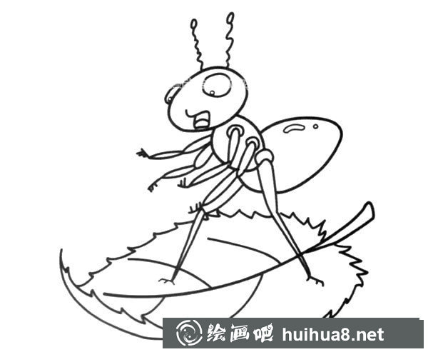 乘坐樹(shù)葉船的螞蟻簡(jiǎn)筆畫圖片_卡通螞蟻的簡(jiǎn)單畫法