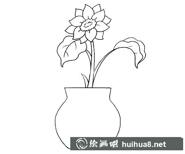 花瓶里漂亮的插花簡筆畫圖片_插畫的簡單畫法