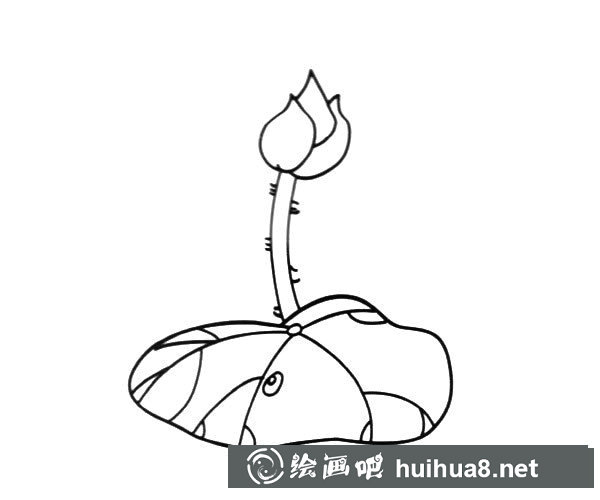 含苞待放的荷花簡(jiǎn)筆畫(huà)圖片_荷花的簡(jiǎn)單畫(huà)法