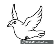 鴿子飛翔簡筆畫藝術(shù)
