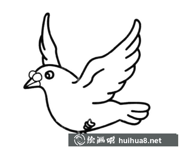 展翅飛翔的鴿子簡筆畫圖片_鴿子的簡單畫法