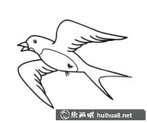 燕子飛翔簡筆畫教程圖解