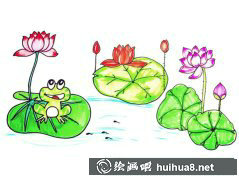 荷花池兒童簡筆畫賞圖