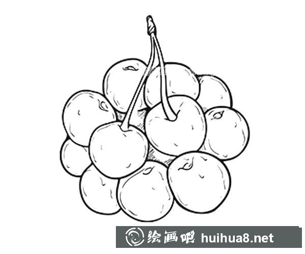一串櫻桃簡筆畫圖片