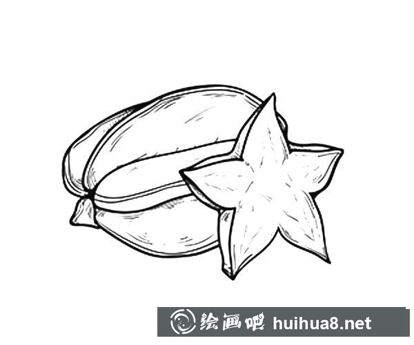 漂亮的楊桃簡筆畫圖片