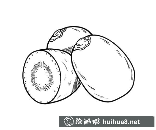 漂亮的獼猴桃簡筆畫圖片