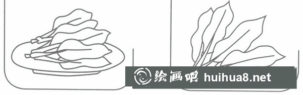 菠菜簡(jiǎn)筆畫