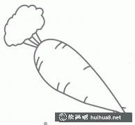 胡蘿卜簡(jiǎn)筆畫(huà)圖集欣賞