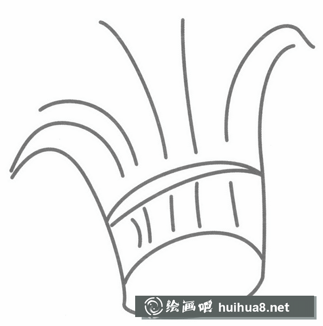 韭菜簡筆畫