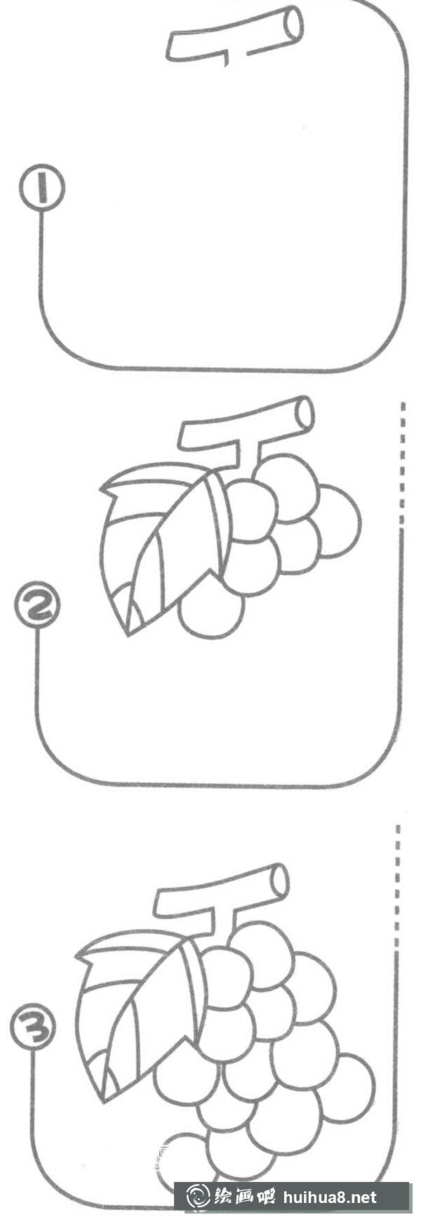 葡萄簡筆畫