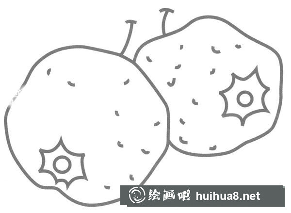 山楂簡筆畫